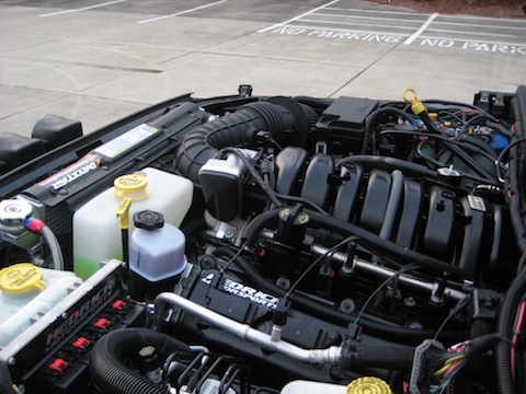 HEMI7-1